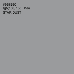 #999B9C - Star Dust Color Image